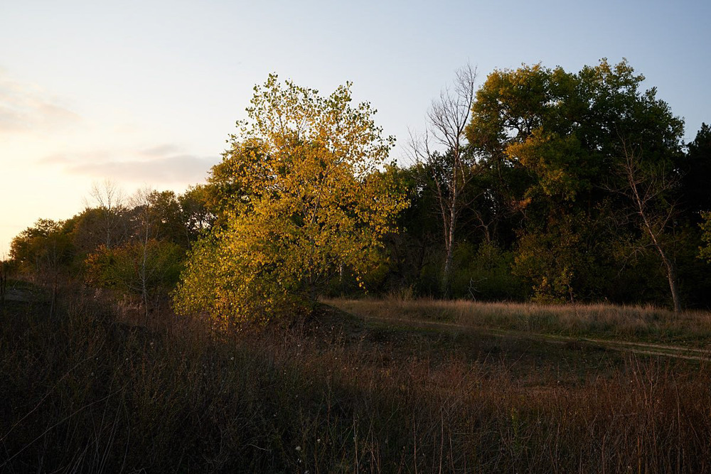 Фотографія * / Максим Мєшков / photographers.ua