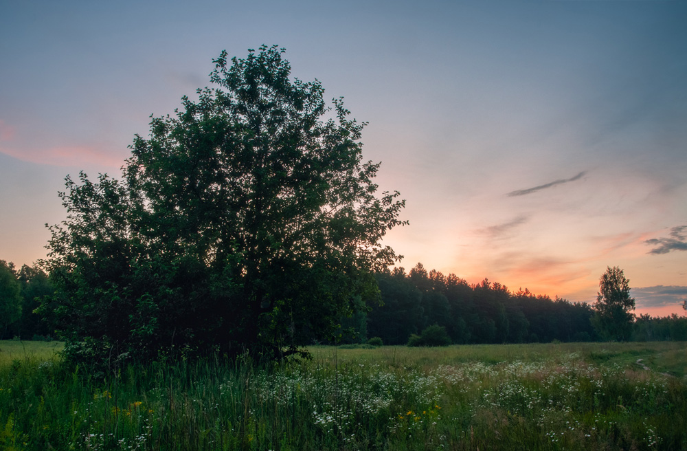 Фотографія Пейзаж / Всеволод Оленич / photographers.ua