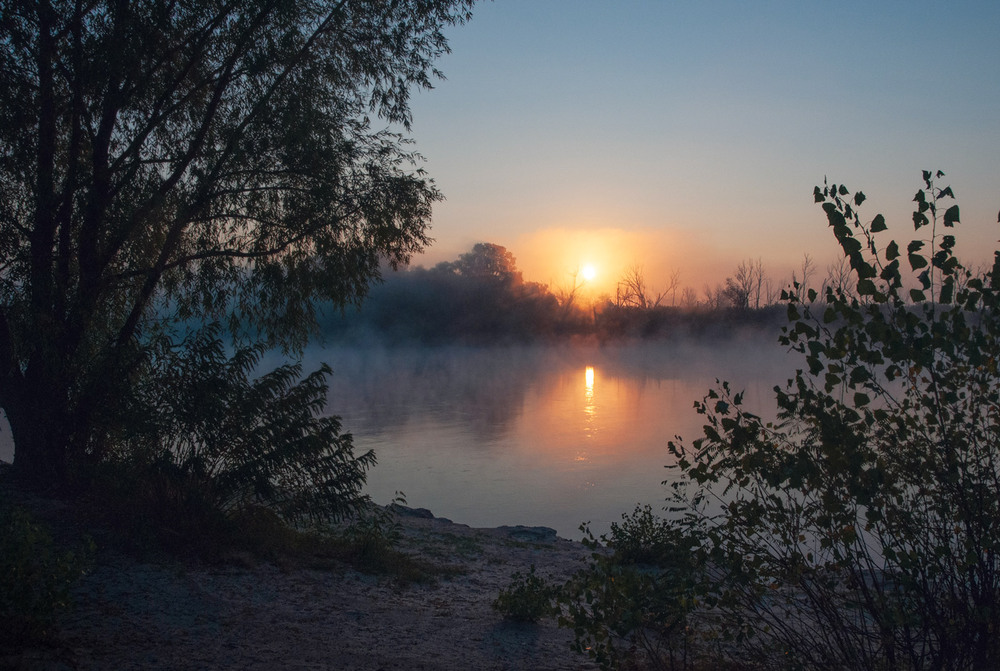 Фотографія Ранок на Десні у вересні / Всеволод Оленич / photographers.ua