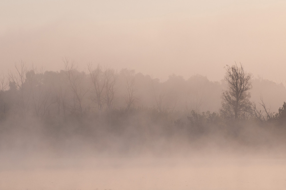 Фотографія Пейзаж / Всеволод Оленич / photographers.ua