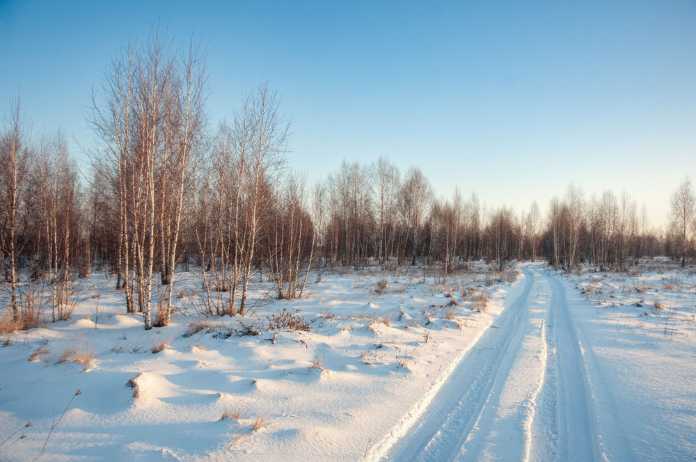 Фотографія Спогади про справжню зиму / Всеволод Оленич / photographers.ua
