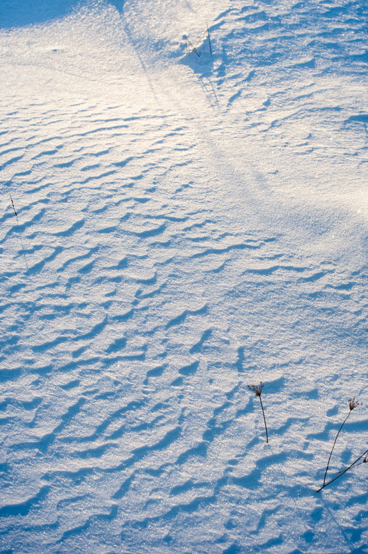 Фотографія Візерунки на снігу ч.1 / Всеволод Оленич / photographers.ua