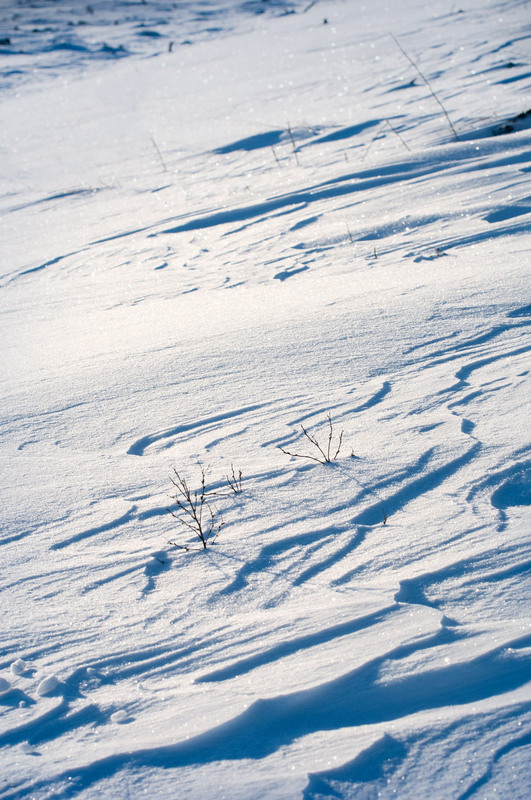 Фотографія Візерунки на снігу ч.2 / Всеволод Оленич / photographers.ua