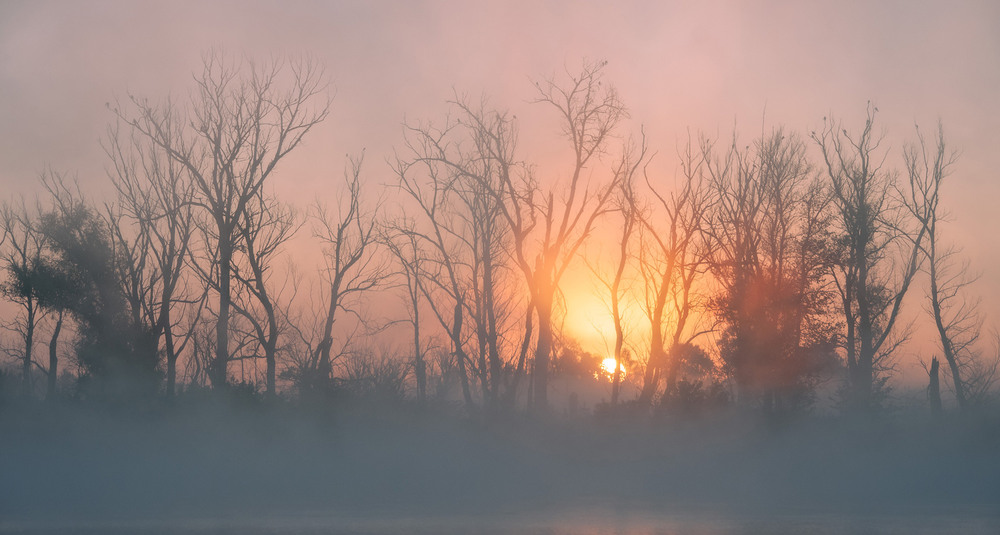 Фотографія Зійшло нарешті сонце над деснянськими берегами / Всеволод Оленич / photographers.ua