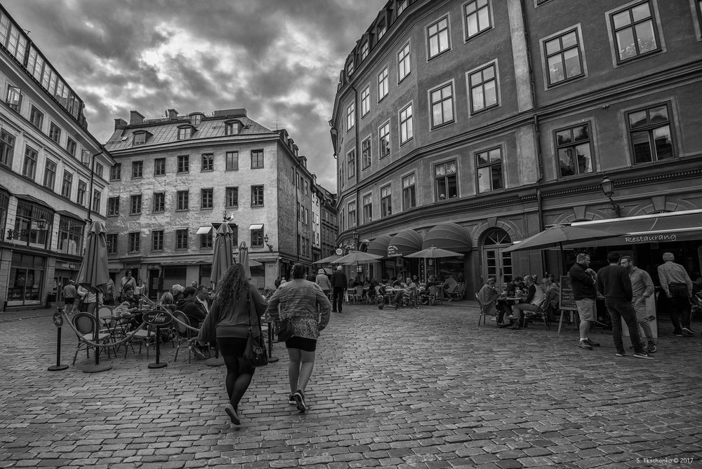 Фотографія Here They Go Away / Sergiy Tkachenko / photographers.ua