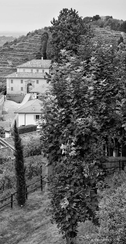 Фотографія A Valley Whispered in Vines and Shadows / Sergiy Tkachenko / photographers.ua