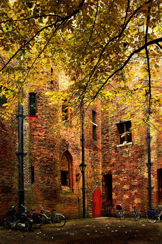 Фотографія Ridderzaal / Binnenhof / Den Haag / Sergiy Tkachenko / photographers.ua