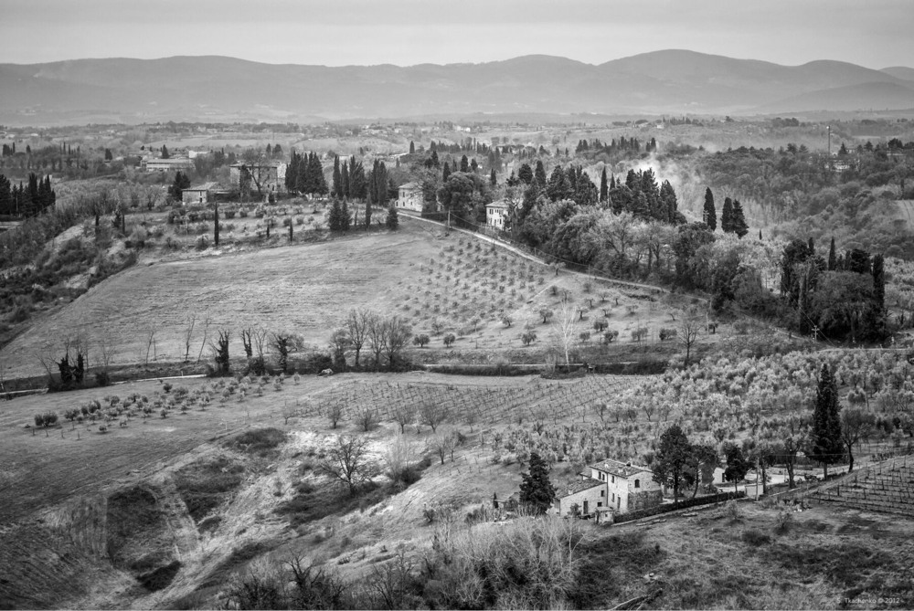 Фотографія The Hills of San Gimignano, Where Time Rests in the Embrace of the Earth / Sergiy Tkachenko / photographers.ua