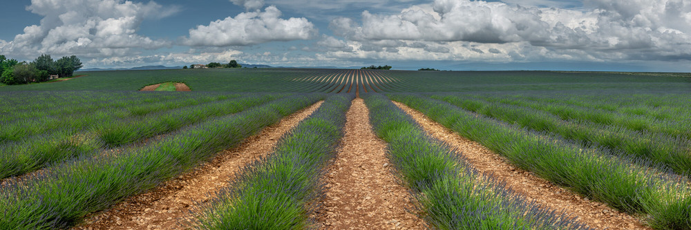 Фотографія Valensole / Sergiy Tkachenko / photographers.ua