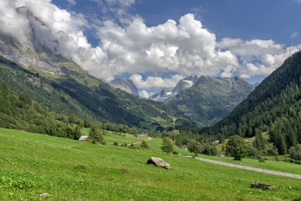 Фотографія Wendenhorn / Sergiy Tkachenko / photographers.ua