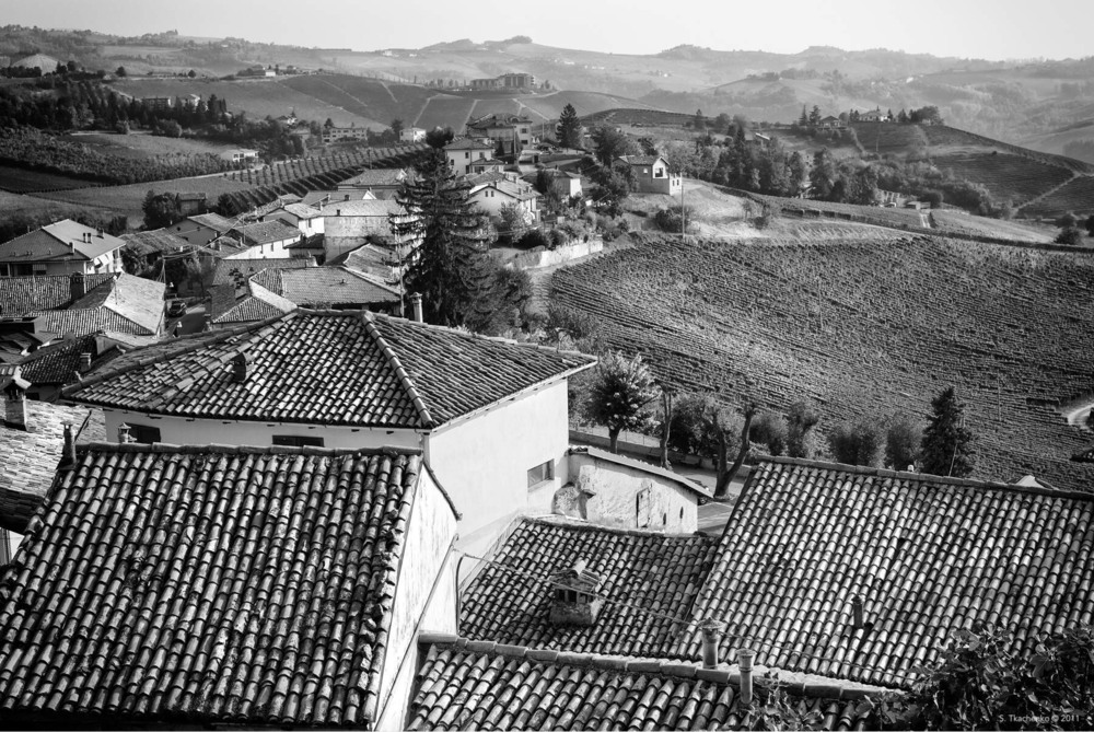 Фотографія Terracotta Tiles and Vast Vineyards of Piedmont, Where Time Has Stopped. / Sergiy Tkachenko / photographers.ua