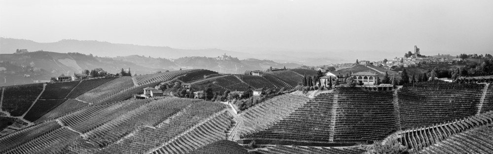 Фотографія Rolling Vineyards of Piedmont near Serralunga d’Alba / Sergiy Tkachenko / photographers.ua