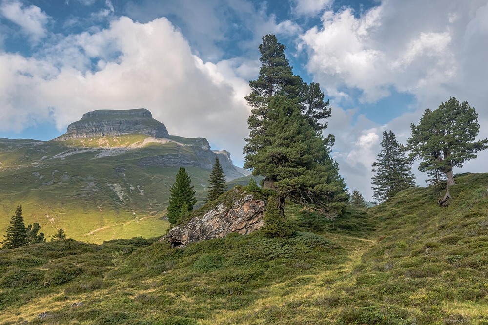 Фотографія Where the Alpine Silence Meets the Eternal Sky / Sergiy Tkachenko / photographers.ua