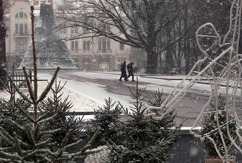 Фотографія Первый снег. / Андрей Шуба / photographers.ua