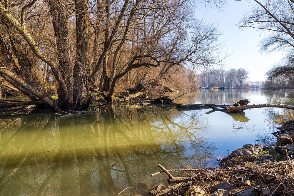 Фотографія У затоках Райну / Сергей Локотков / photographers.ua