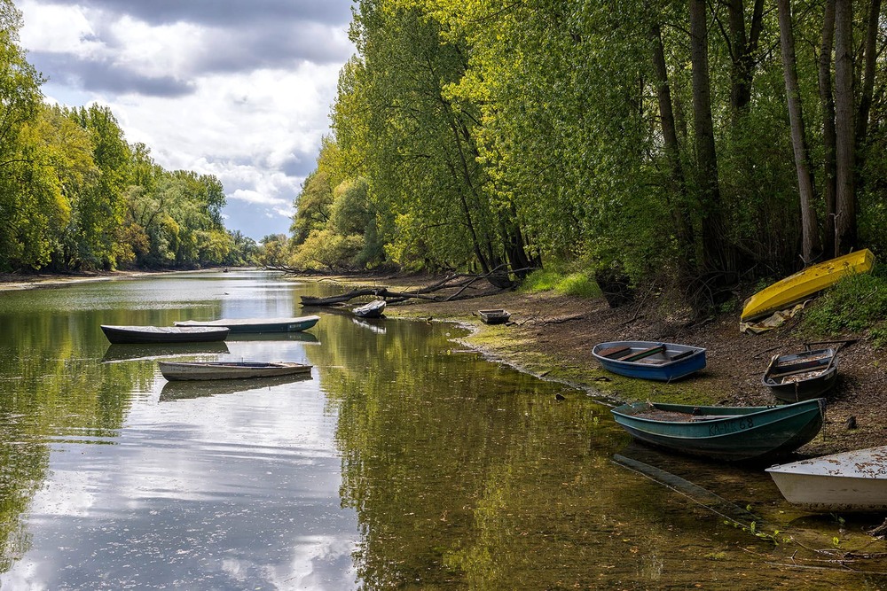 Фотографія Тиша / Сергей Локотков / photographers.ua