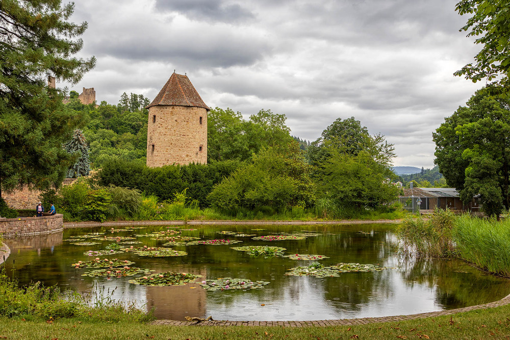 Фотографія "Там лілії цвітуть"  Weinheim / Сергей Локотков / photographers.ua
