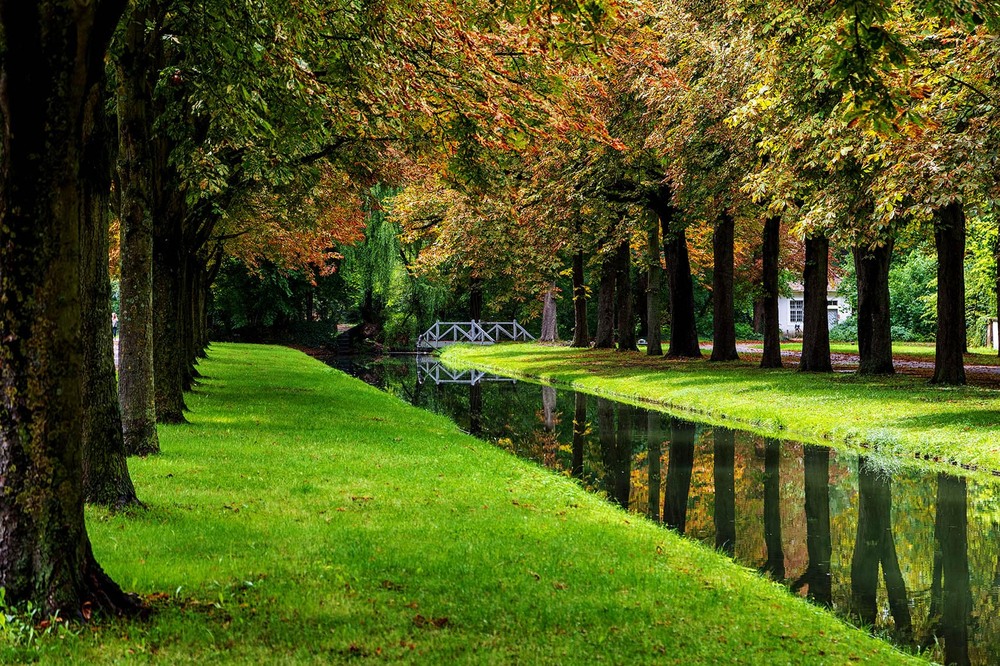 Фотографія *** / Сергей Локотков / photographers.ua