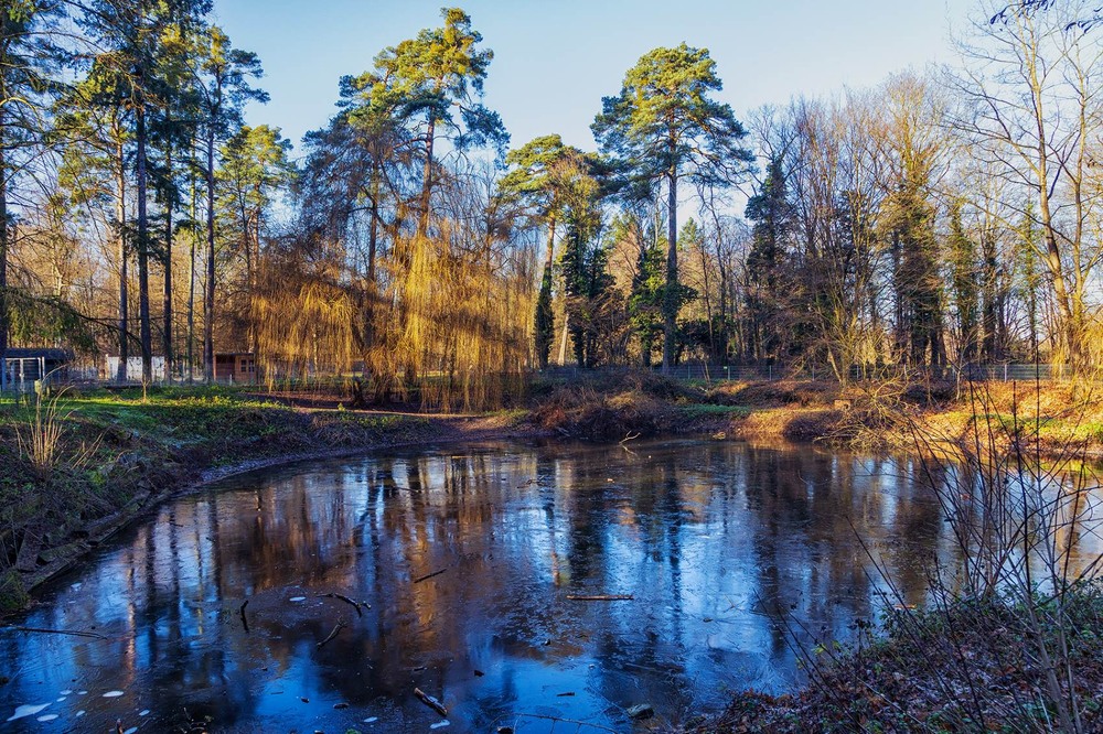Фотографія Ранкова крига / Сергій Локотков / photographers.ua