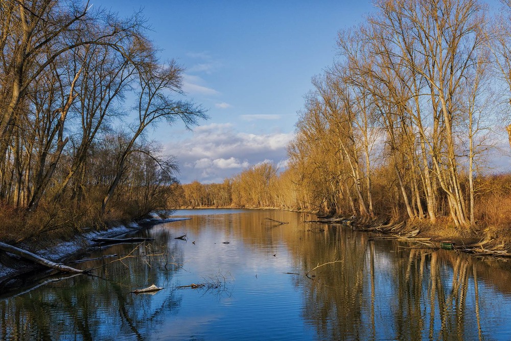 Фотографія Зимове світло на Райні / Сергій Локотков / photographers.ua