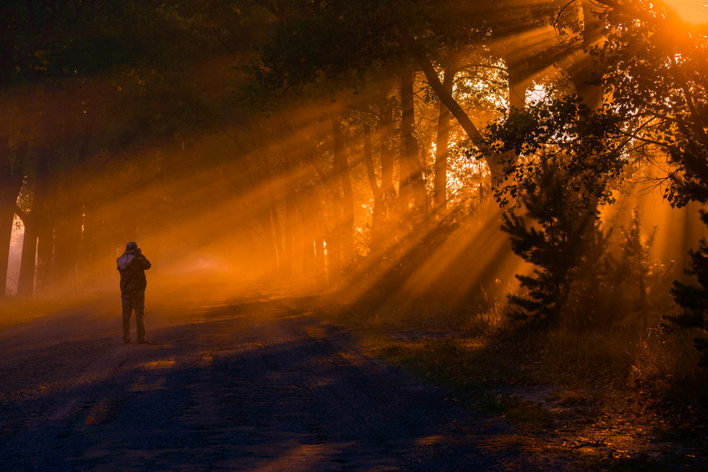 Фотографія Золотий час / Валерій Мельников / photographers.ua