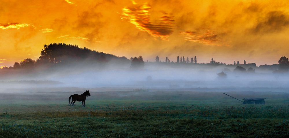 Фотографія Поліський ранок / Валерій Мельников / photographers.ua