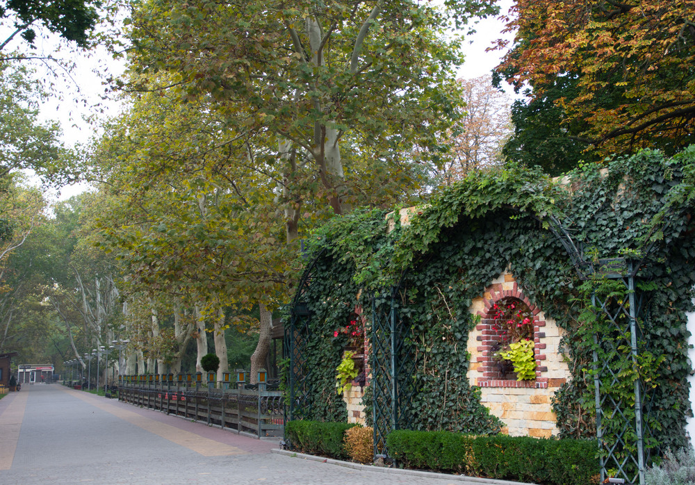 Фотографія Осень в парке / Serhii Mishchenko / photographers.ua