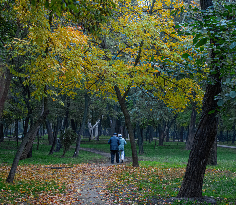 Фотографія Осень жизни / Serhii Mishchenko / photographers.ua