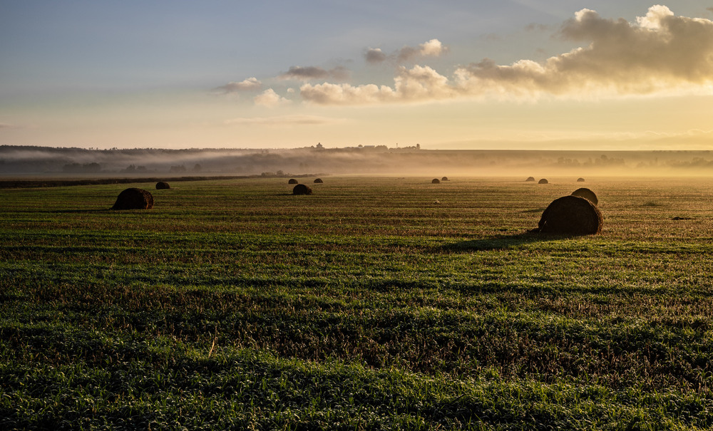 Фотографія Пейзаж / Serhii Mishchenko / photographers.ua