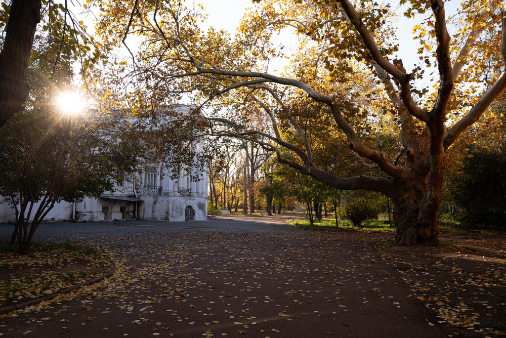 Фотографія Пейзаж / Serhii Mishchenko / photographers.ua