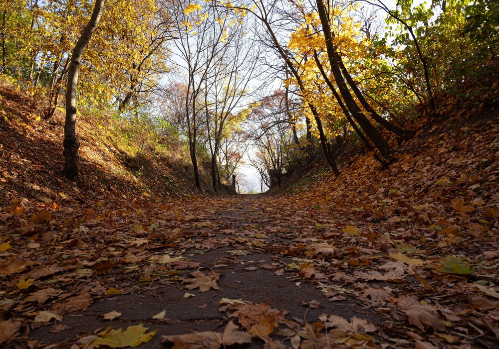 Фотографія Осенняя дорога к морю / Serhii Mishchenko / photographers.ua