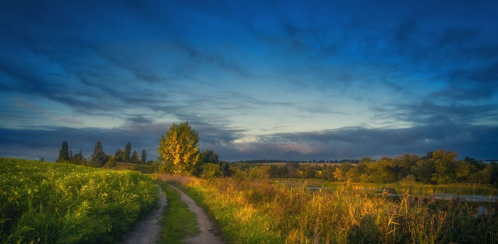 Фотографія Серед полів / Олександр Катков / photographers.ua