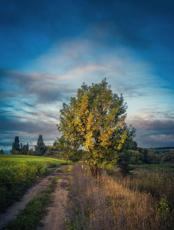 Фотографія Осінь наступає / Олександр Катков / photographers.ua