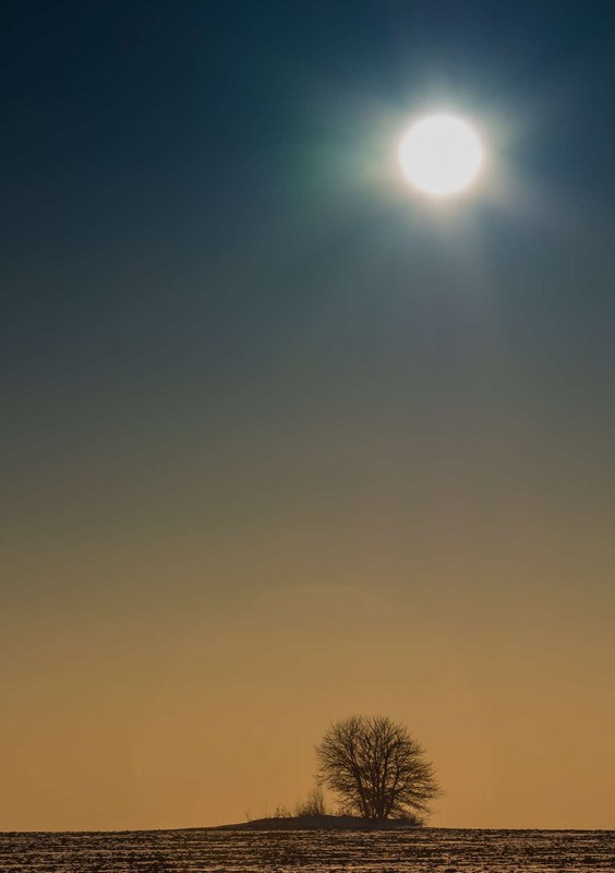 Фотографія Під палючим сонцем / Олександр Катков / photographers.ua