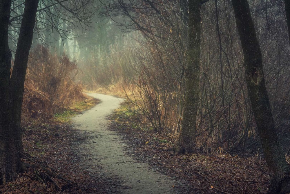 Фотографія Пейзаж / Олександр Катков / photographers.ua