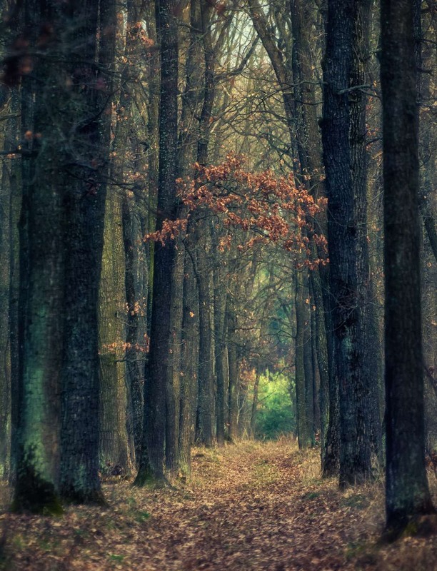 Фотографія Пейзаж / Олександр Катков / photographers.ua