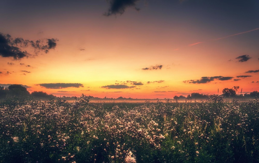 Фотографія Пейзаж / Олександр Катков / photographers.ua