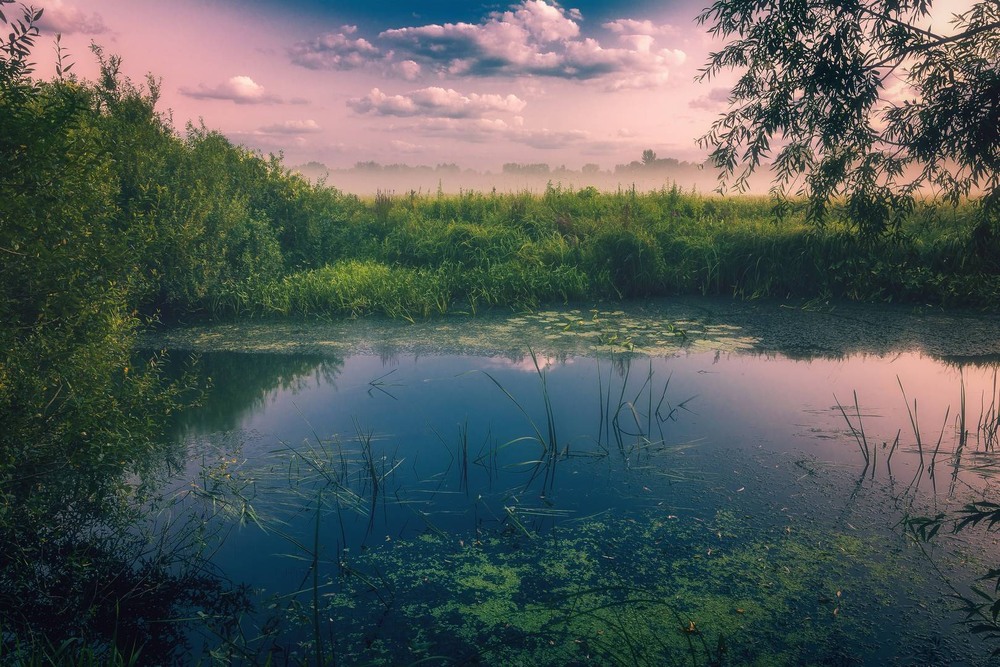Фотографія Пейзаж / Олександр Катков / photographers.ua