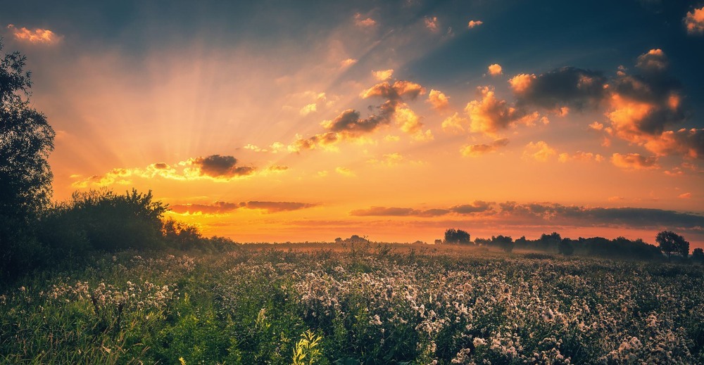 Фотографія Пейзаж / Олександр Катков / photographers.ua