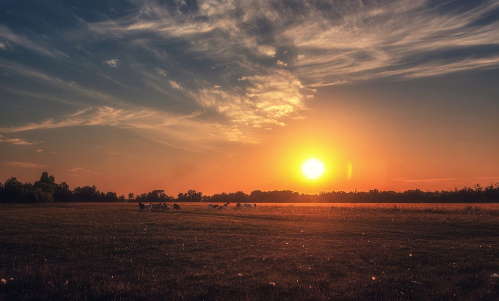 Фотографія Пейзаж / Олександр Катков / photographers.ua