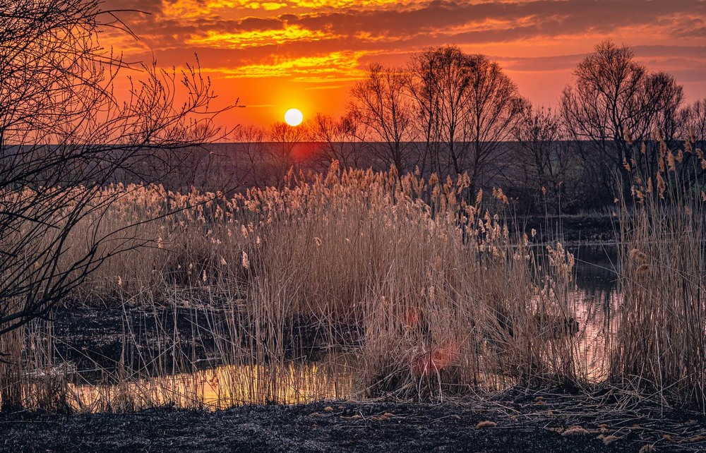 Фотографія Пейзаж / Олександр Катков / photographers.ua