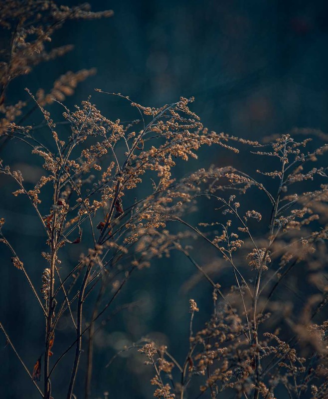 Фотографія Разное / Олександр Катков / photographers.ua