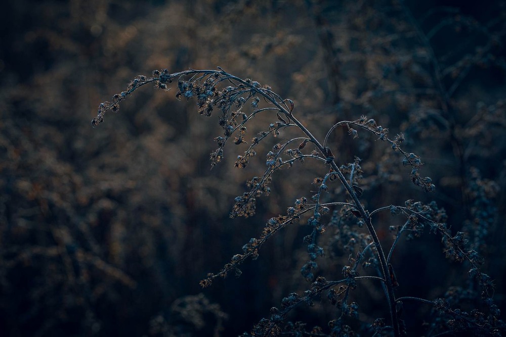 Фотографія Разное / Олександр Катков / photographers.ua