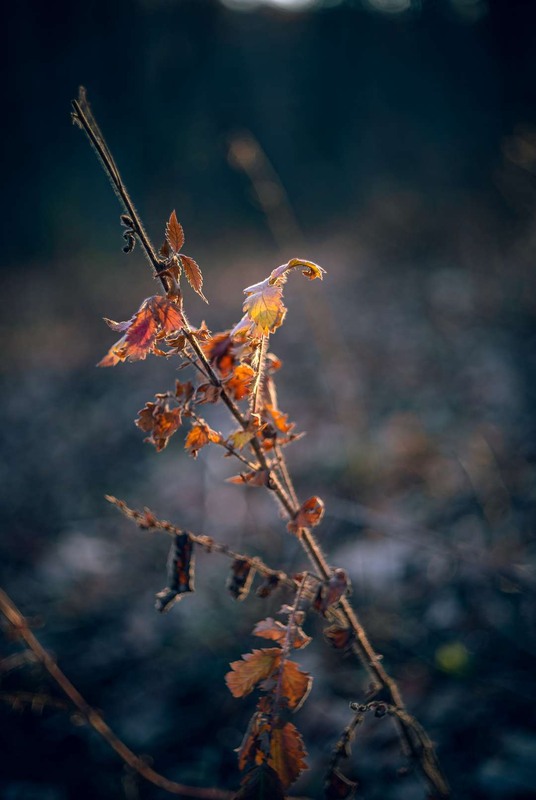 Фотографія Разное / Олександр Катков / photographers.ua