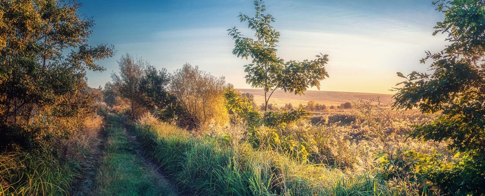Фотографія Пейзаж / Олександр Катков / photographers.ua