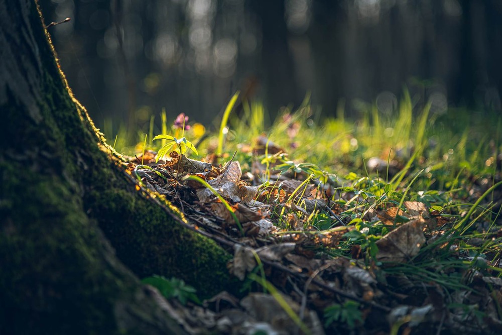 Фотографія Разное / Олександр Катков / photographers.ua