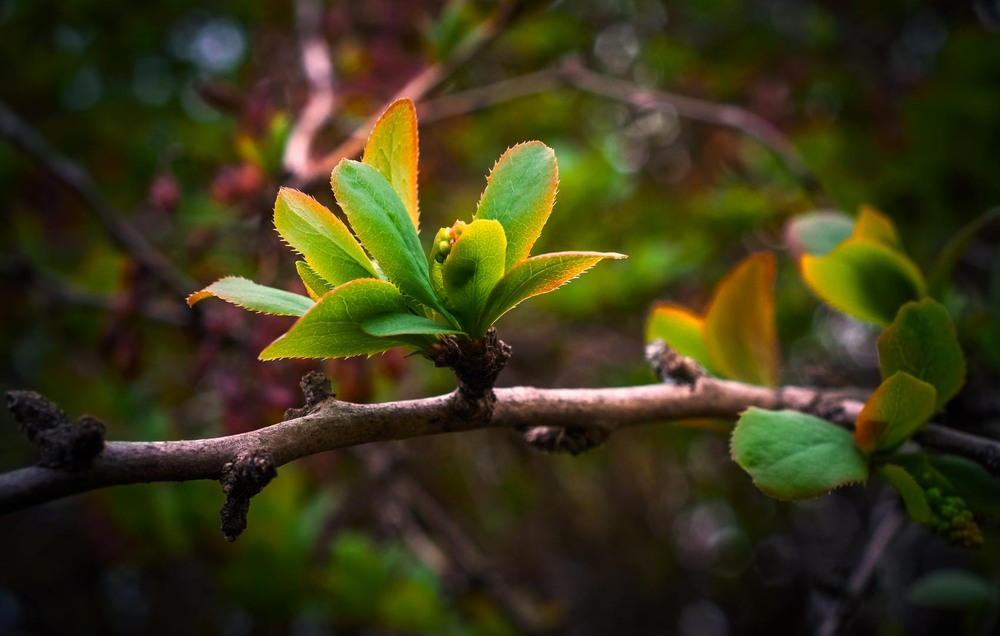 Фотографія Гламур / Олександр Катков / photographers.ua