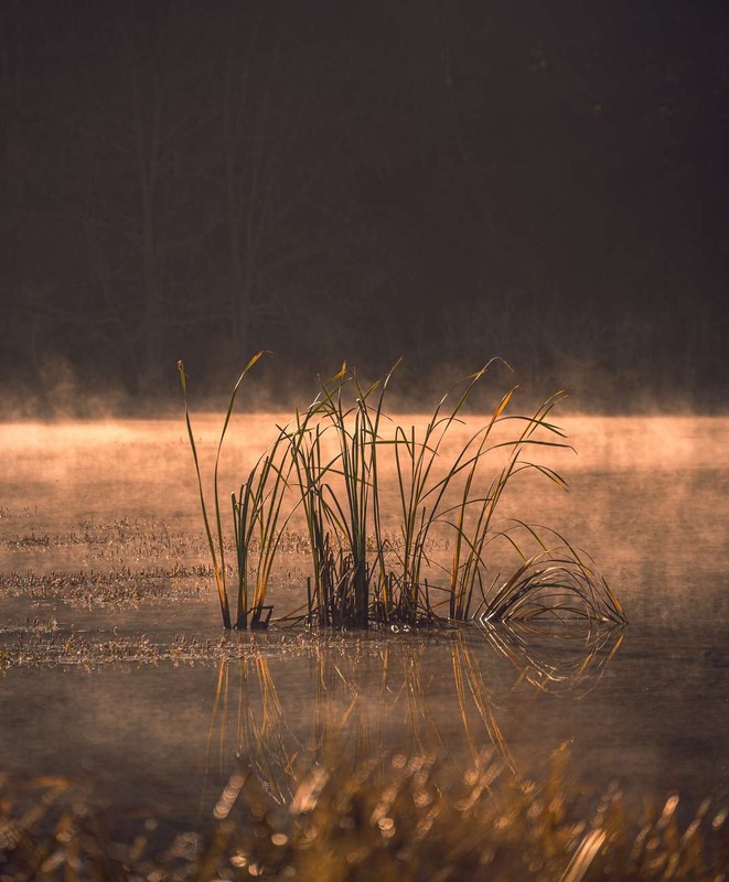 Фотографія Пейзаж / Олександр Катков / photographers.ua