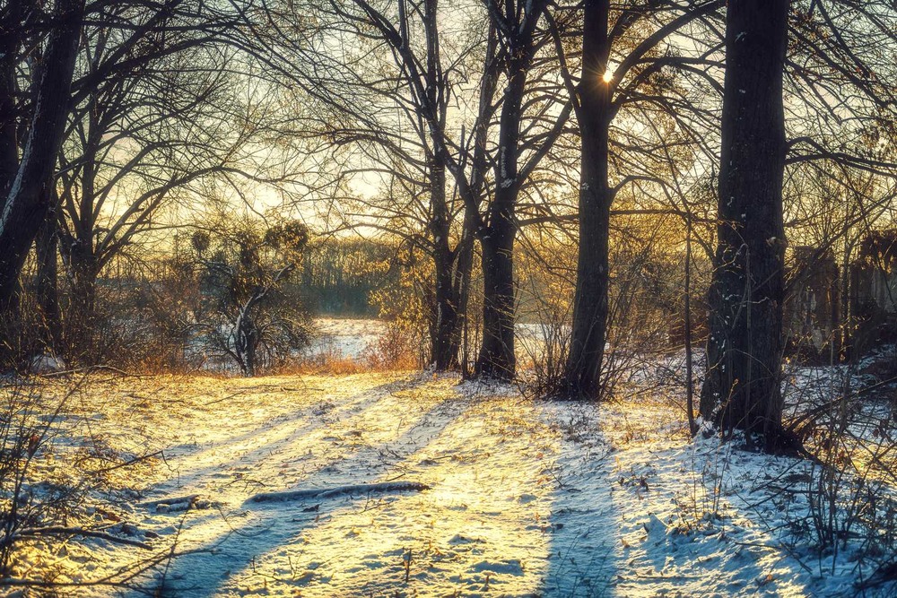 Фотографія Пейзаж / Олександр Катков / photographers.ua