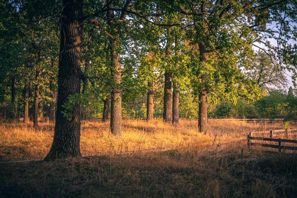 Фотографія Пейзаж / Олександр Катков / photographers.ua